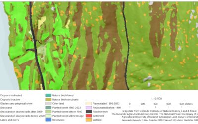 Landscape analysis for assessing drained land