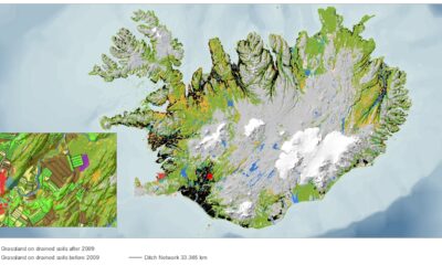 Forest to Wetland conversion