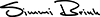 www.brink.is